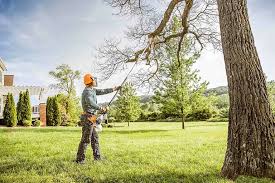 Best Commercial Tree Services  in Granite Falls, MN